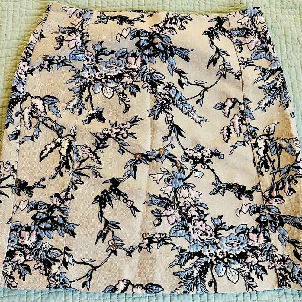 Ann Taylor skirt